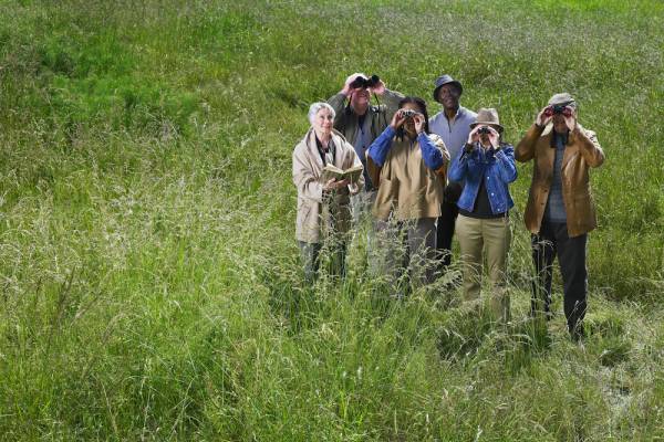 a group of six people stands in a field of tall grass watching birds in fredericksburg, texas