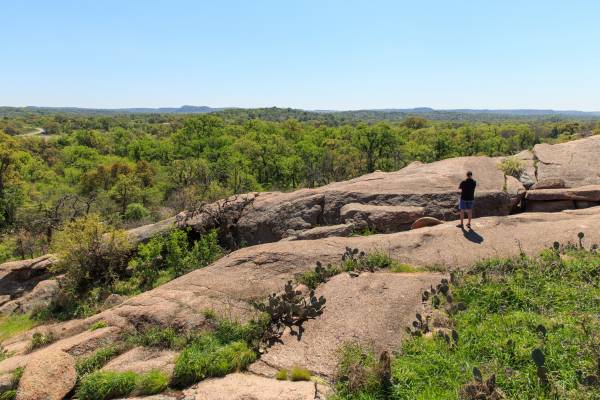 a landscape shot of a person looking out at green trees on a bluff in fredericksburg