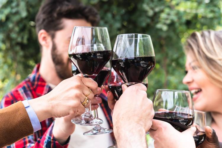 Wine and cheese festival stock