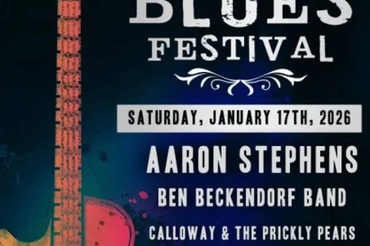 luckenbach blues festival